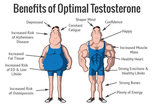 AUMENTARE I LIVELLI DI TESTOSTERONE | Parafarmacia PHARMAGOLI