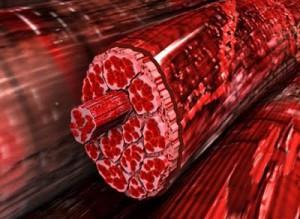 DOMS, cos'è, come comportarsi? | Parafarmacia PHARMAGOLI