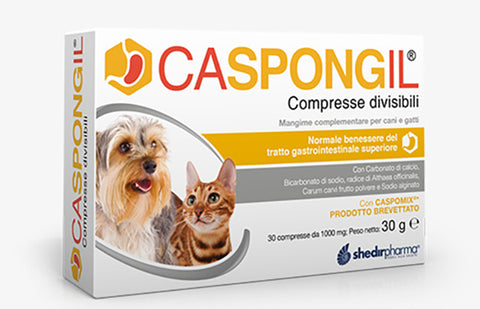 Caspongil 30cpr divisibili