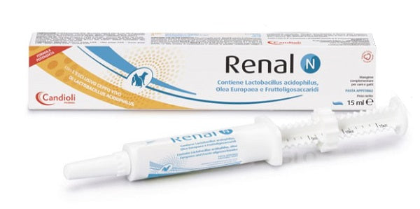Renal n pasta 15ml