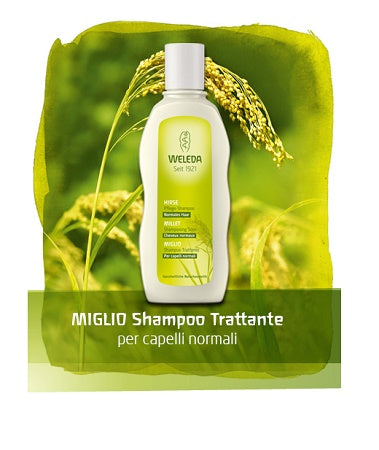 Miglio shampoo 190ml