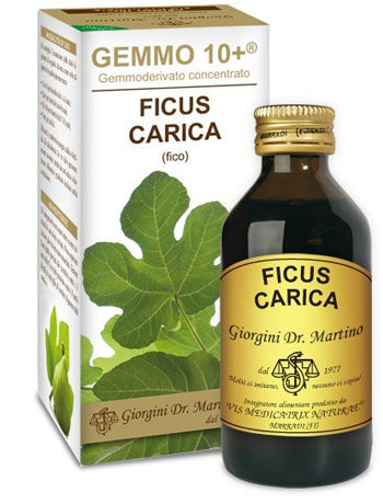 Fico 100ml liq analc gemmo 10+