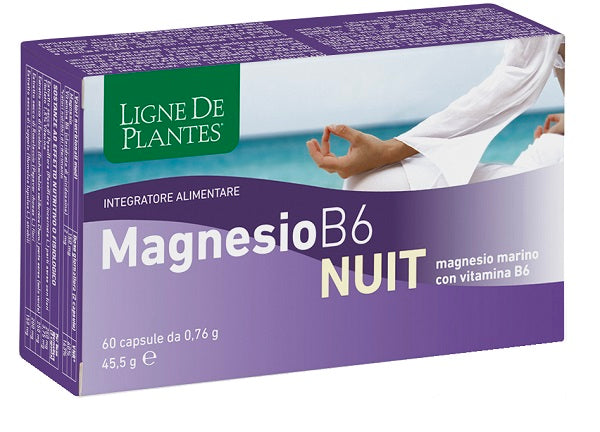 Magnesio b-6 nuit 72cps