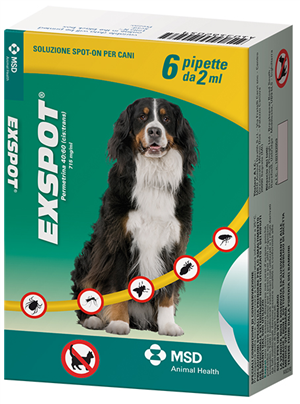 Exspot*6pip 2ml Imagem principal do produto