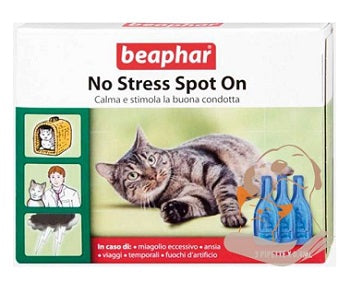 No stress spot on gatto 3 pip