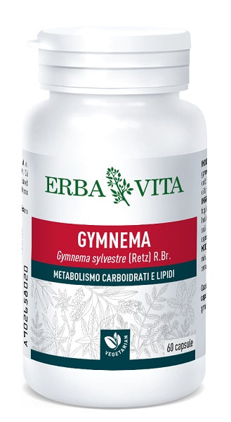 Gymnema silv 60cps 350mg Imagem principal do produto