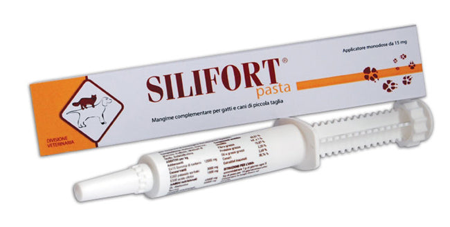 Silifort pasta os siringa 30g