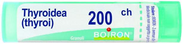 Bo.thyroidinum 200ch gr