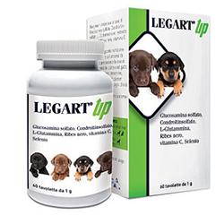 Legart up 60cpr