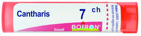 Bo.cantharis 7ch tubo