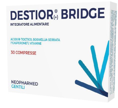 Destior bridge 30cpr Immagine principale del prodotto