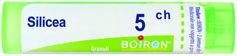 Bo.silicea 5ch tubo
