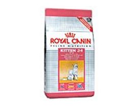Feline hn kitten 36 2kg