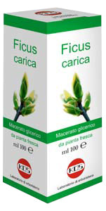 Ficus carica mg 100ml gtt