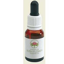 Red grevillea austr 15ml gtt