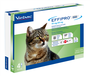 Effipro duo gatto 50 mg