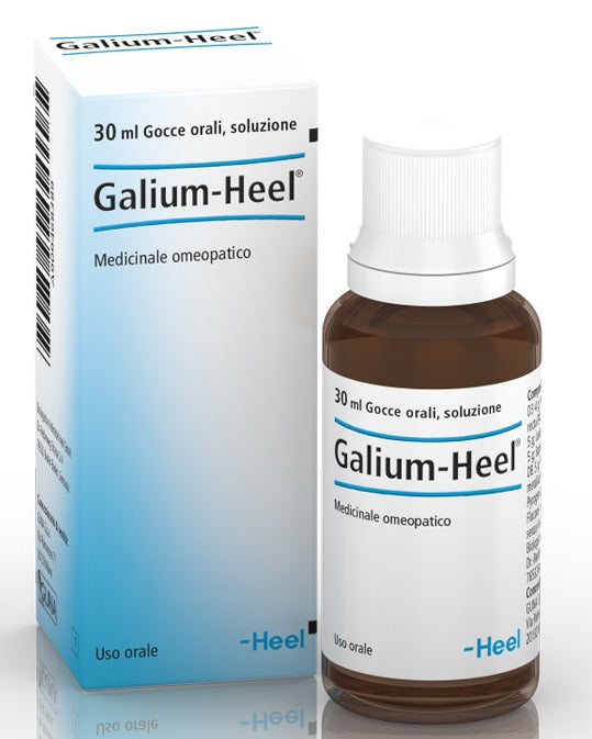 Galium 30ml gtt heel Hauptbild