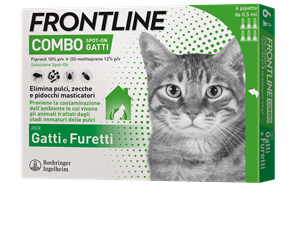 Frontline combo spoton g*6 pip Hauptbild