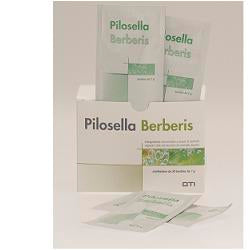 Pilosella berberis 30bust