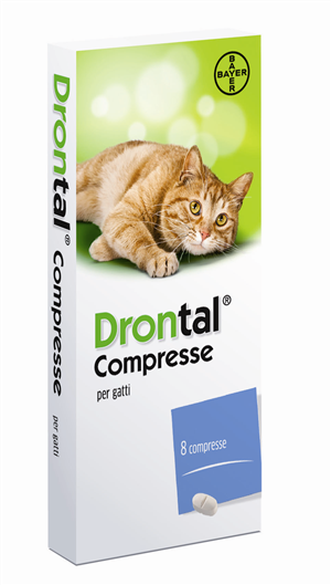 Drontal*8cpr gatto Imagem principal do produto