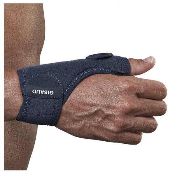 Gibaud ortho rhizogib dx 2