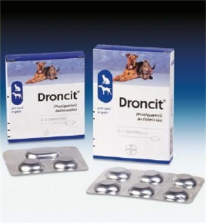 Droncit*6 cpr
