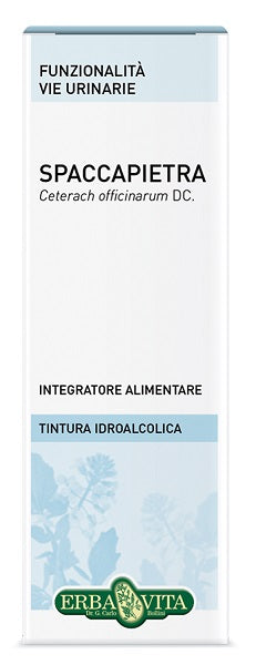 Spaccapietra tint ial 50ml ebv Immagine principale del prodotto