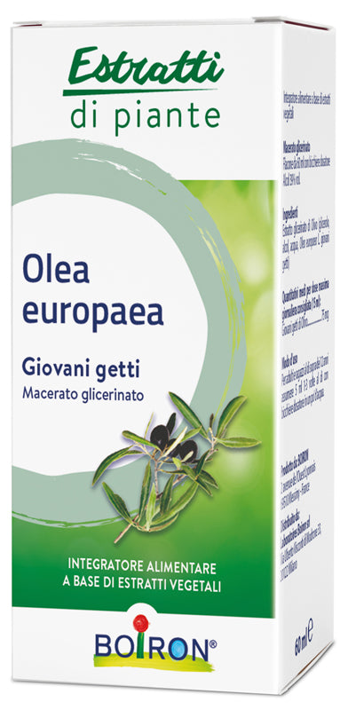 Bo.olea europaea mg 60ml int