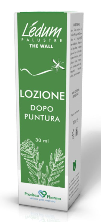 Ledum the wall loz dopo punt