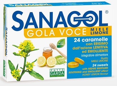 Sanagol gola voce 24car erisim