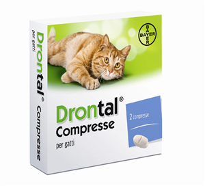 Drontal*2cpr gatto Imagem principal do produto