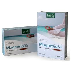 Magnesio b6 20ab 15ml