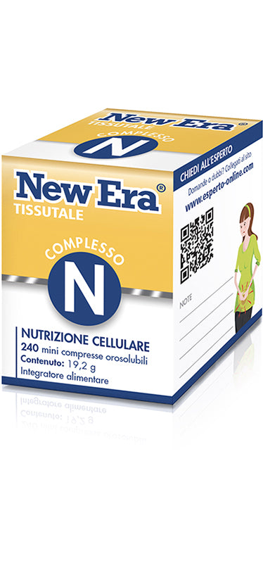 New era n 240gr