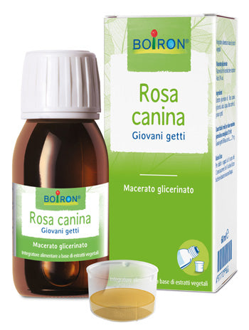 Rosa canina mg int gtt 60ml