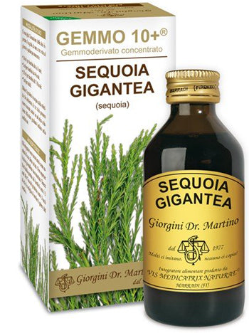 Sequoia 100ml analco gemmo 10+