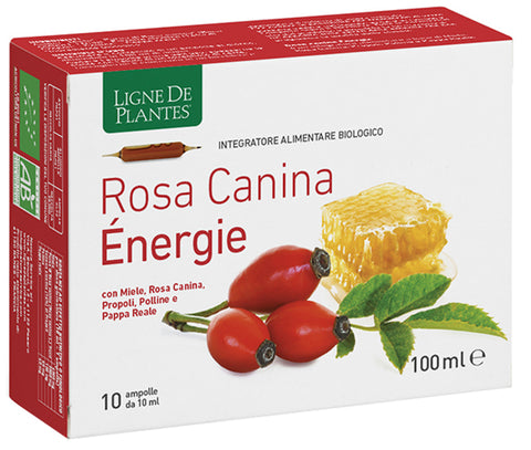 Rosa canina energy 10fll 10ml