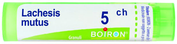 Bo.lachesis mutus 5ch tubo
