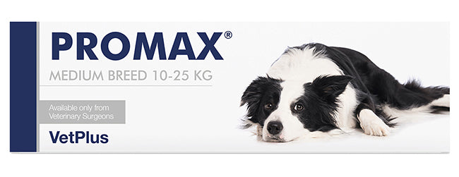 Promax medium breed 18ml