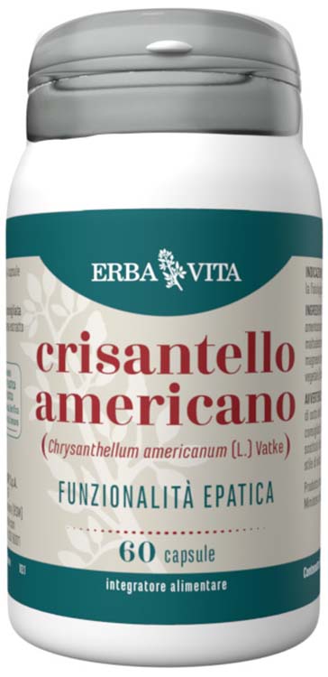 Crisantello americano 60cps Imagem principal do produto