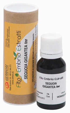 Fee sequoia gigantea 15ml