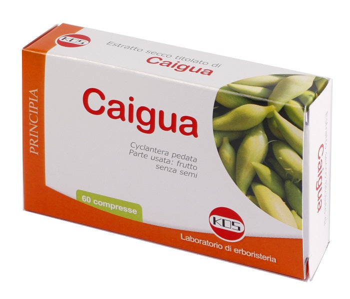 Caigua estr sec 60cpr 22,2g ko