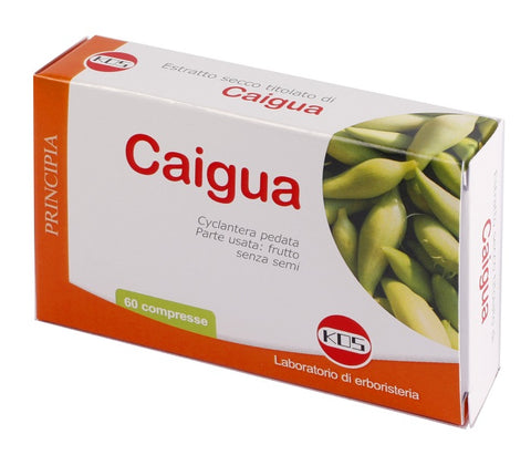 Caigua estr sec 60cpr 22,2g ko