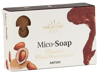Sapone al reishi antiox 150g Imagem principal do produto