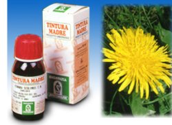 Tarassaco tm 50ml specchiasol