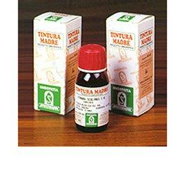 Artiglio del diavolo 35 tm50ml