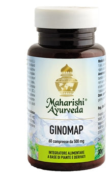 Ginomap 60tav