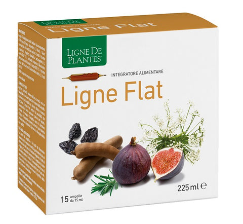 Ligne flat 15amp 15ml