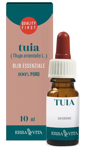 Thuya olio ess 10ml fl  erbavi
