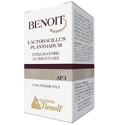 Benoit lactobacillus plantharu