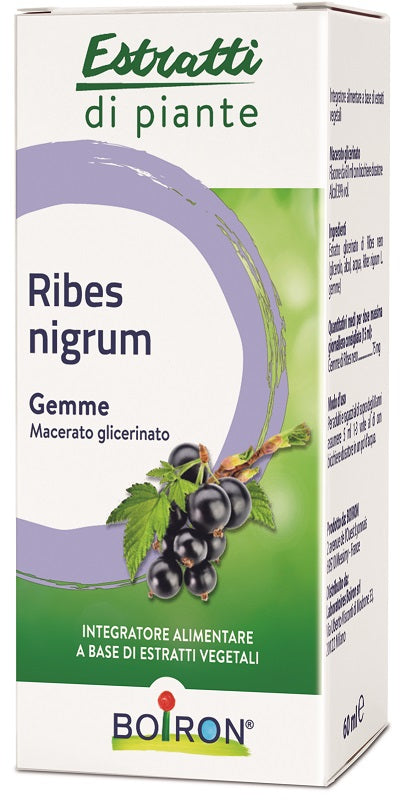 Ribes nigrum mg 60ml int